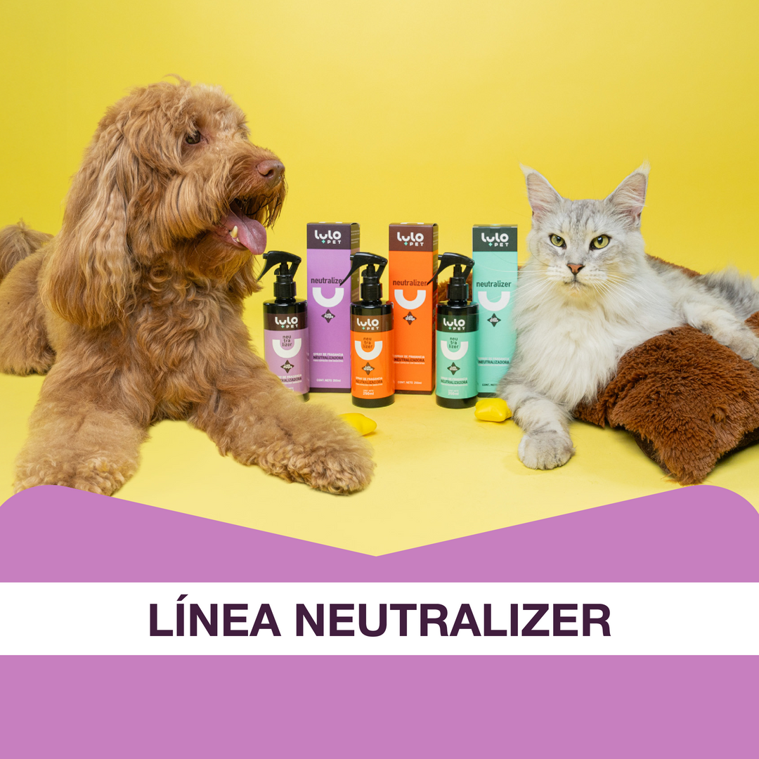 Aromas que Transforman