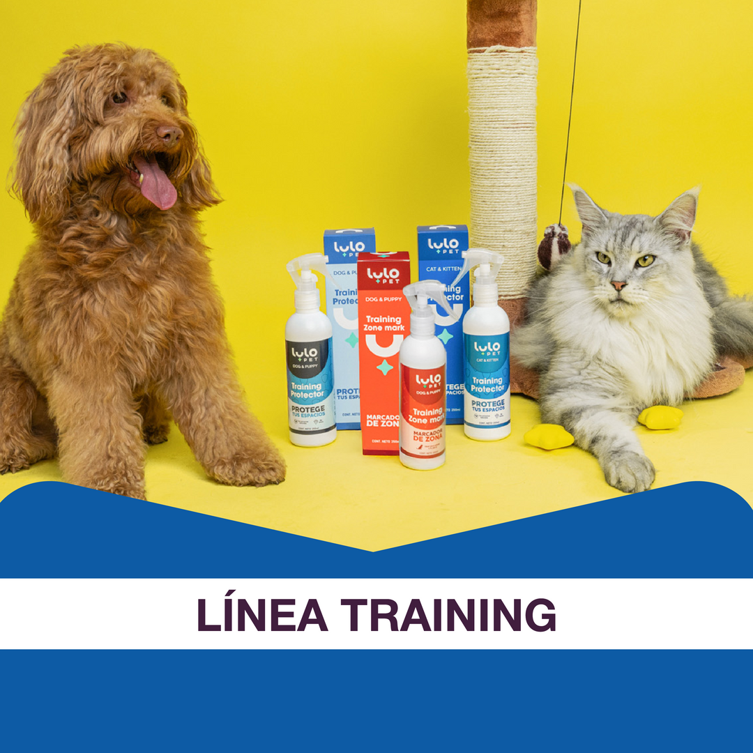 Entrenamiento y Comportamiento