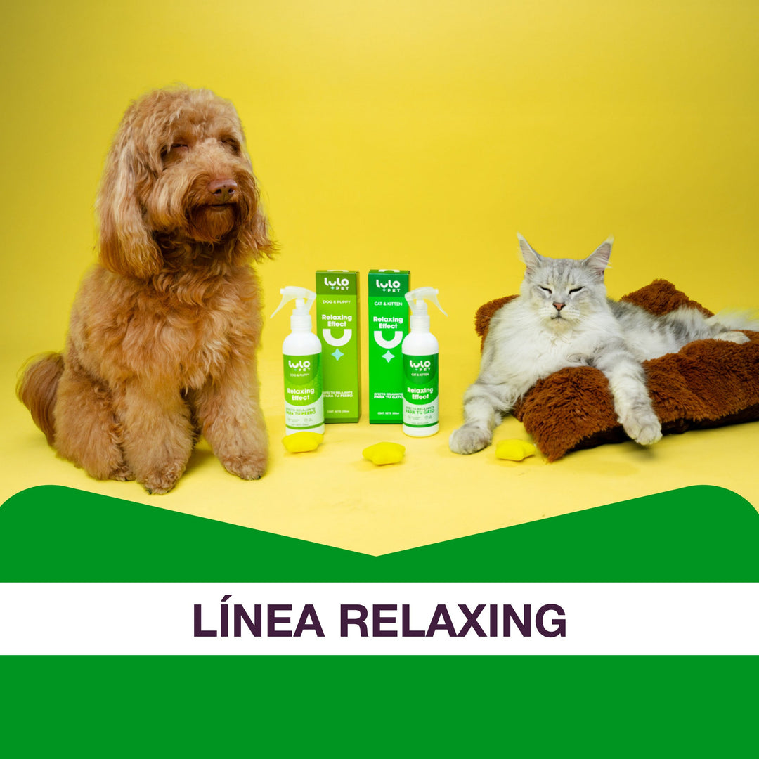 Relajación Dog & Cat