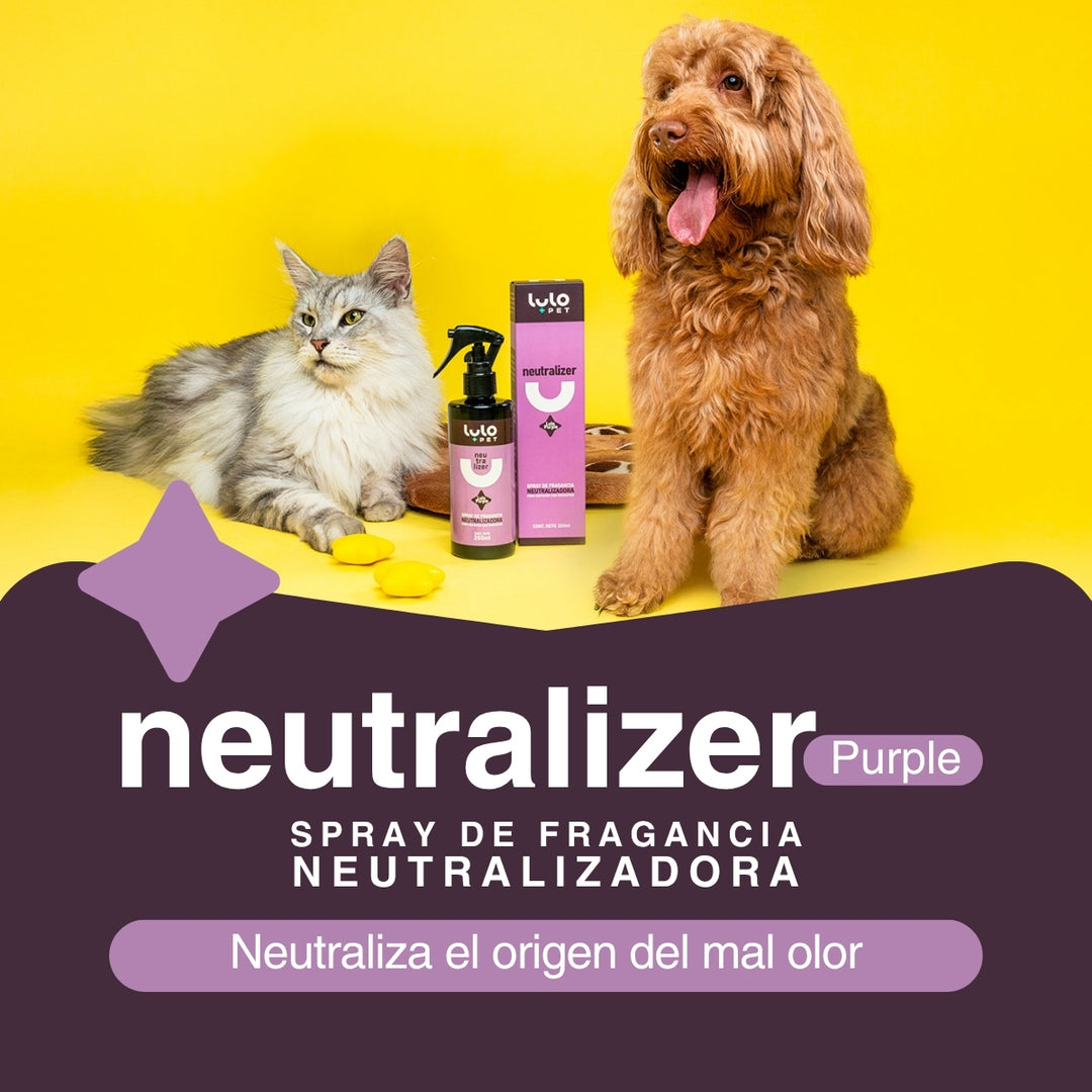 Dúo Hogar Reluciente