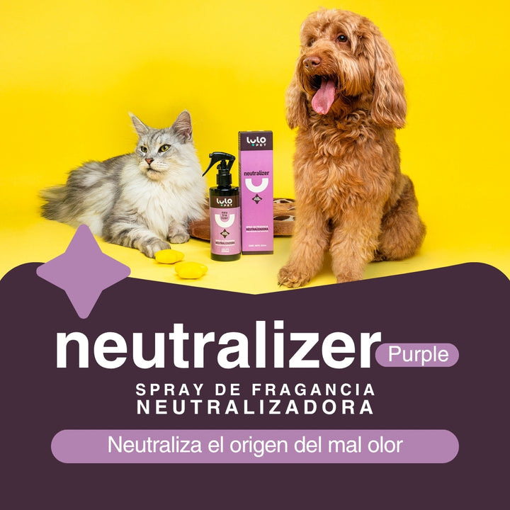 Dúo Hogar Reluciente