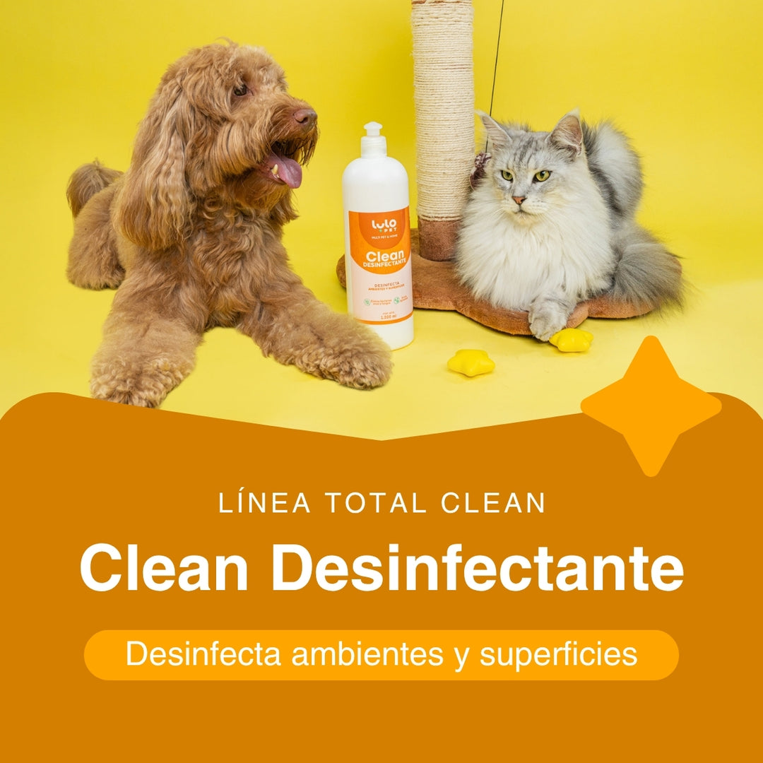 Kit Casa Impecable