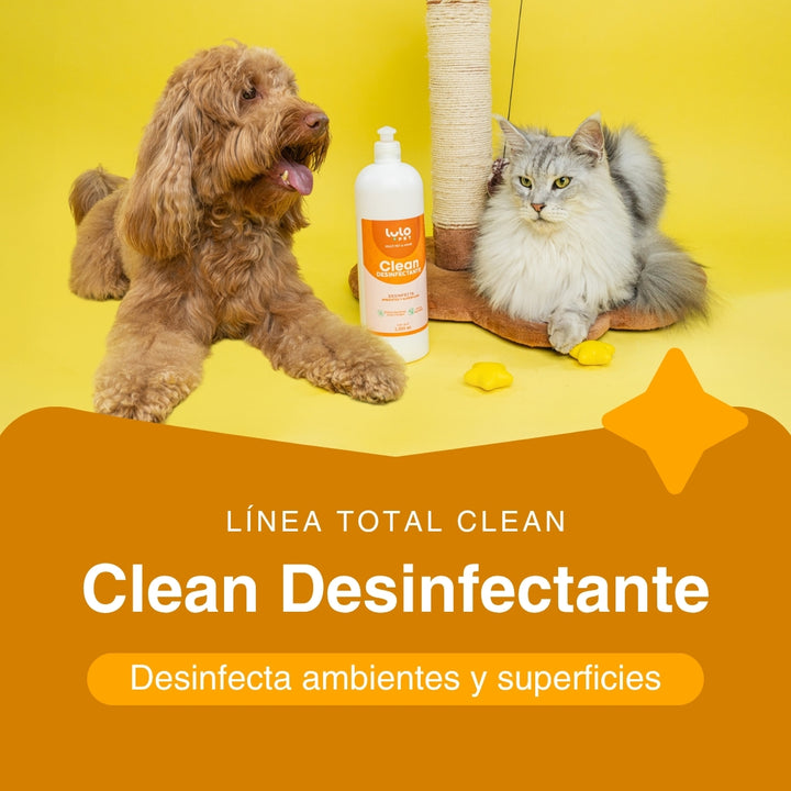 Kit Casa Impecable