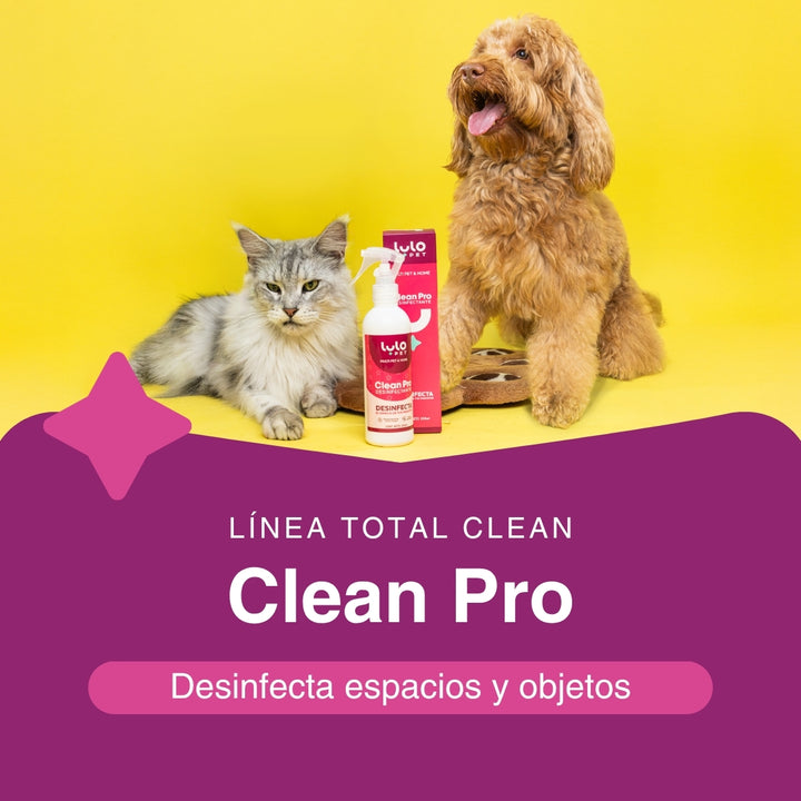 Clean Pro Desinfectante