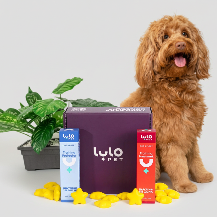 Dúo Entrenamiento Dog & Puppy