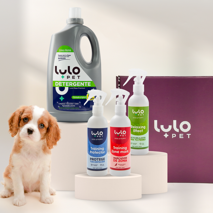 Kit de Bienvenida Dog & Puppy