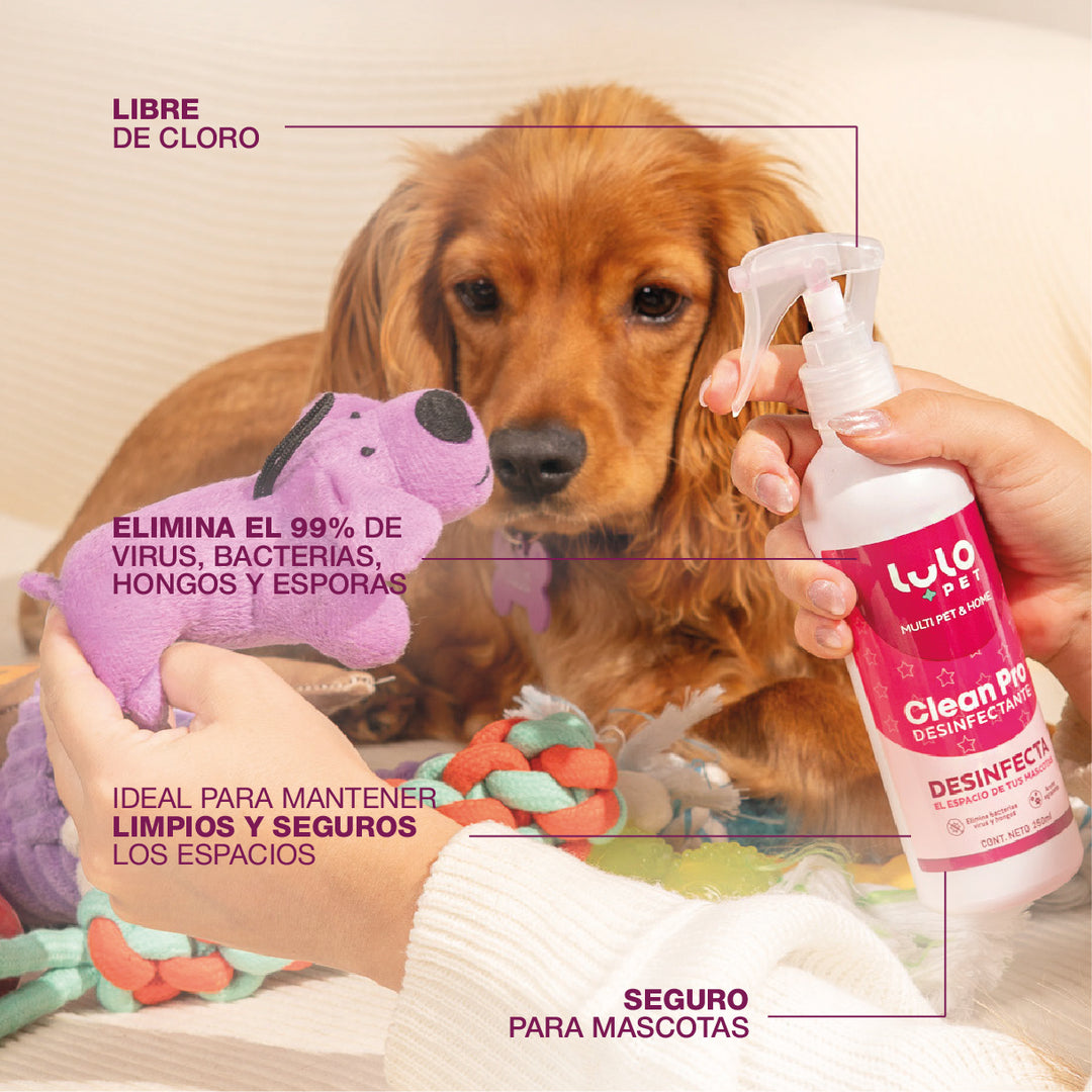 Clean Pro Desinfectante