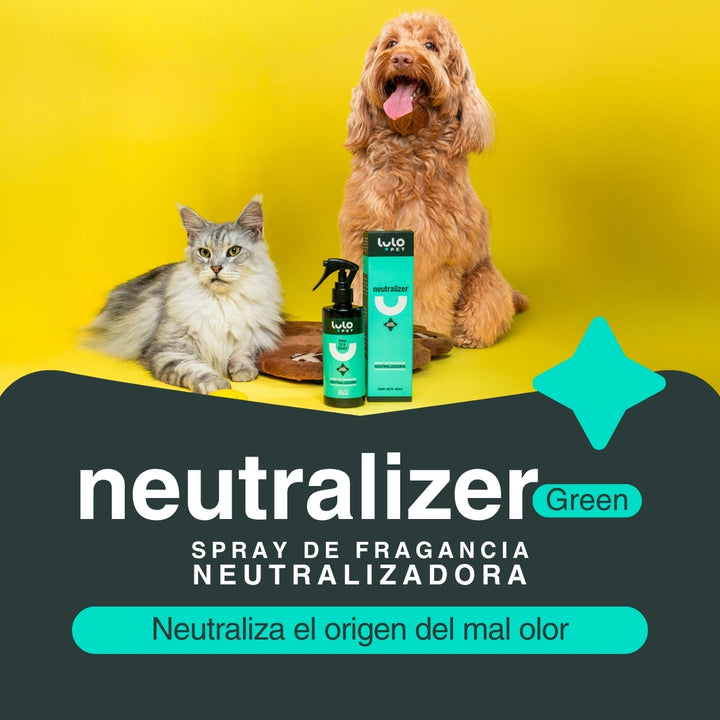 Dúo Hogar Reluciente