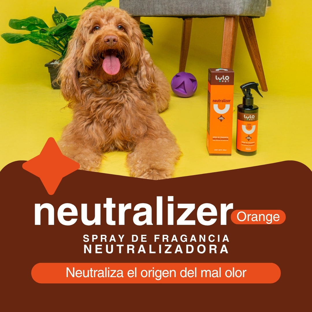 Dúo Hogar Reluciente