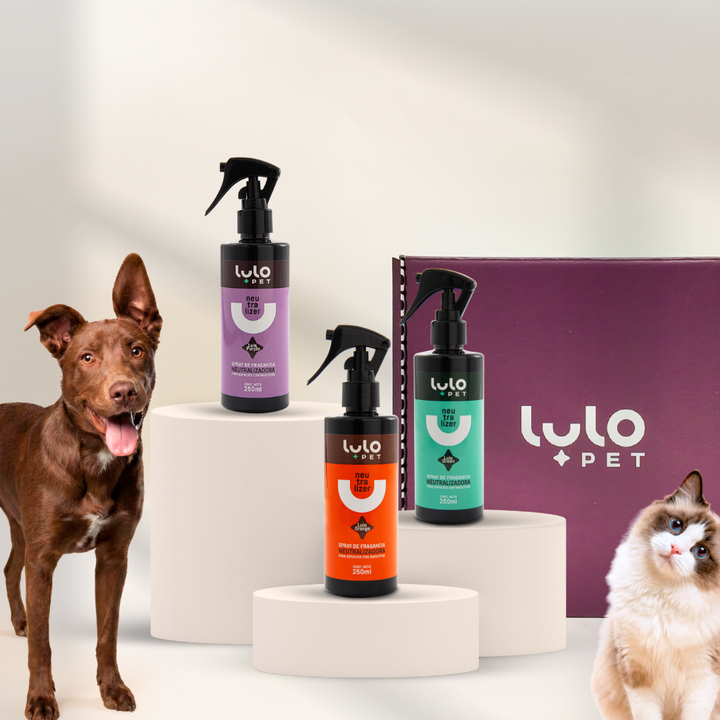 Kit de Regalo Ritual de Aromas