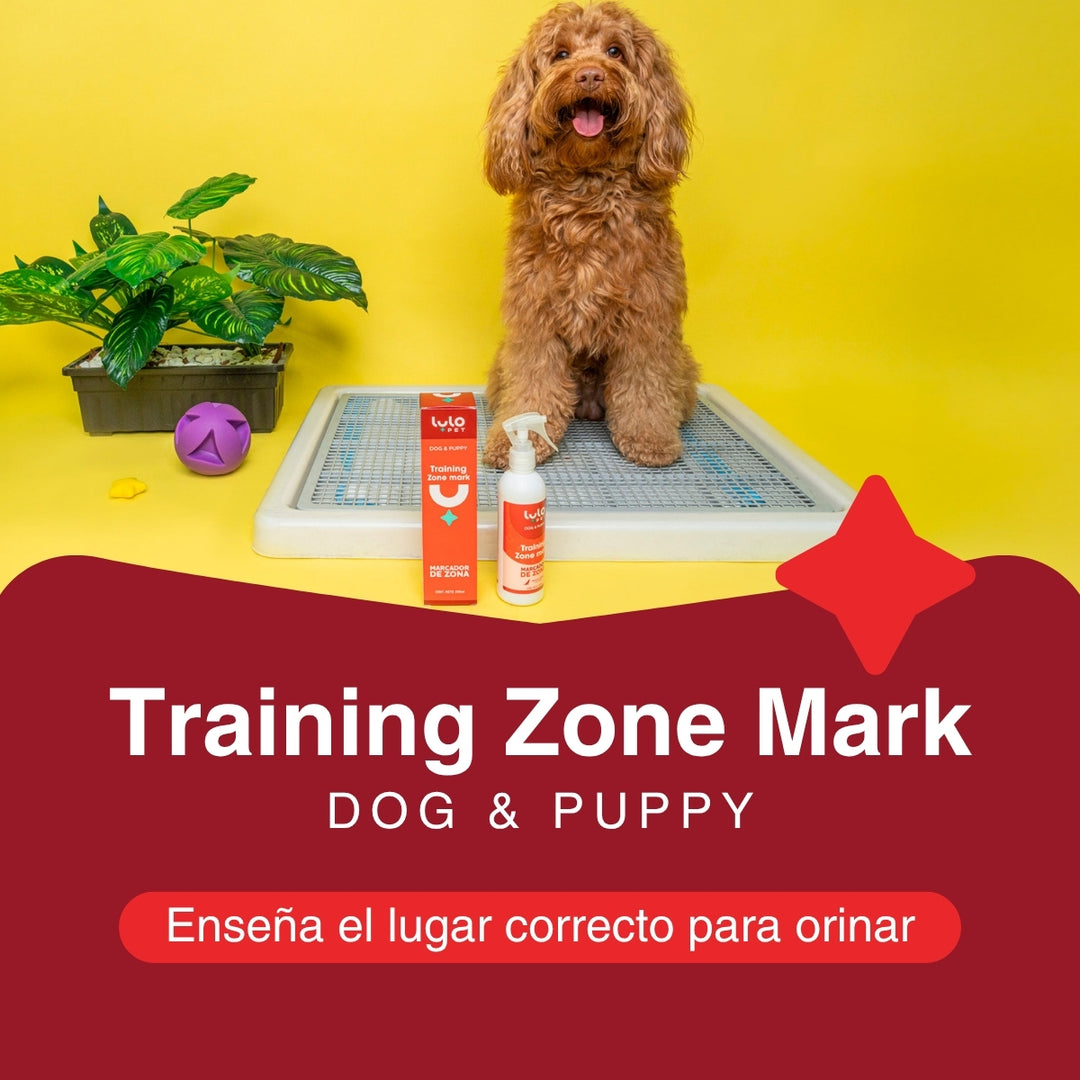 Training Zone Mark Dog & Puppy