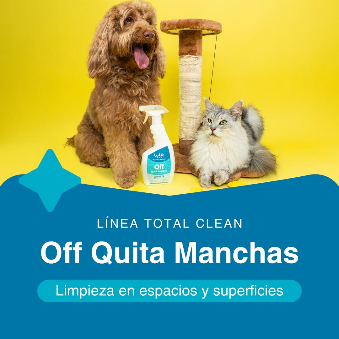 Off Quitamanchas