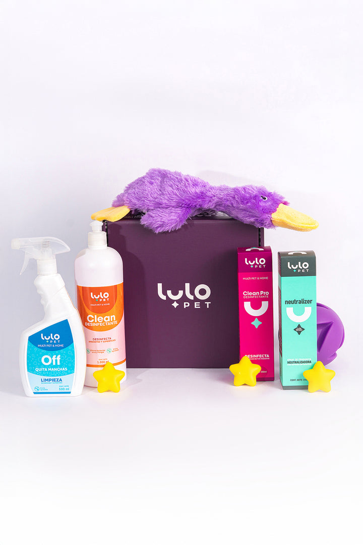 Kit Casa Impecable