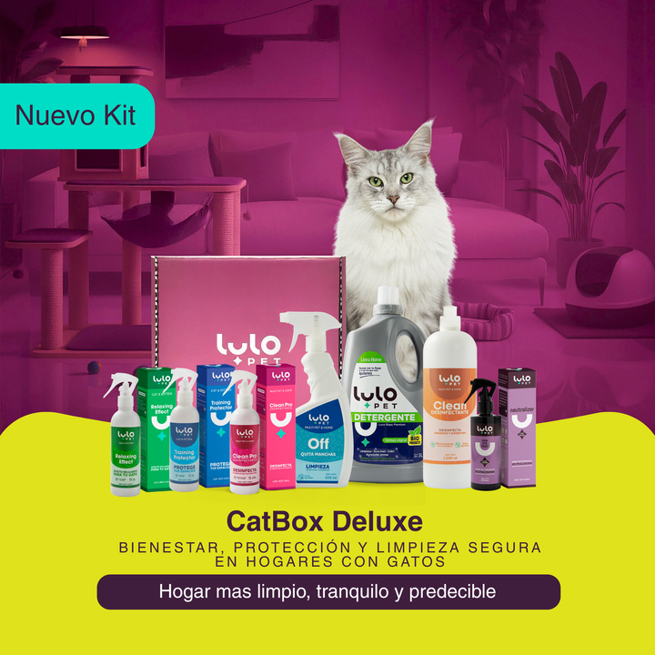 CatBox Deluxe