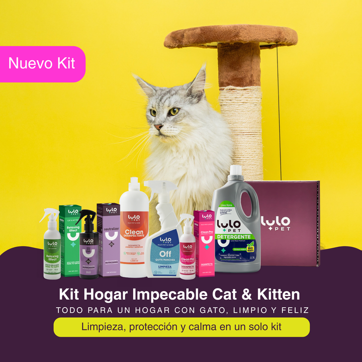 Kit Hogar Impecable Cat & Kitten