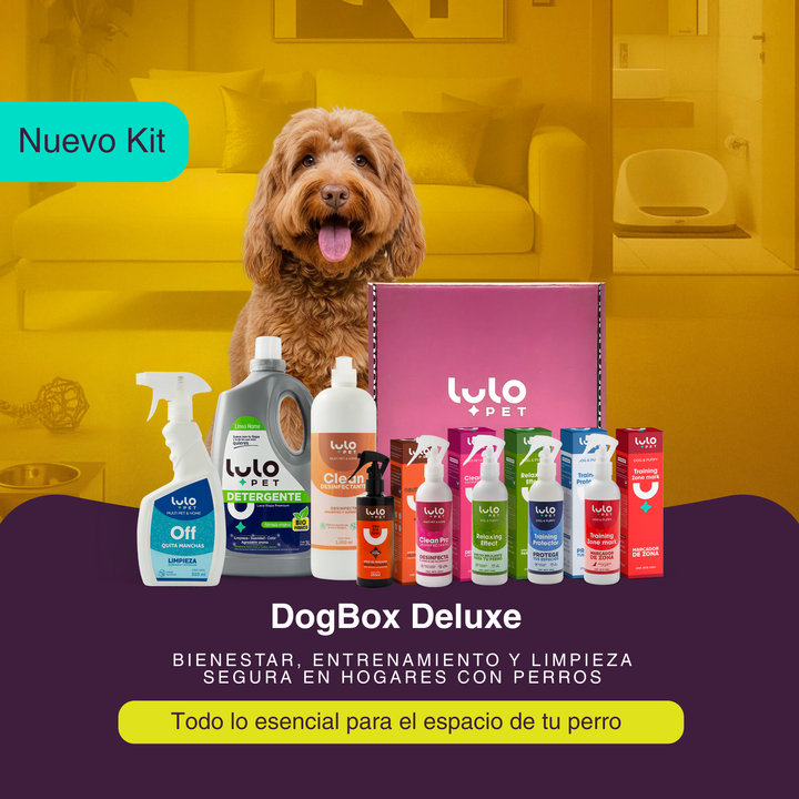 DogBox Deluxe