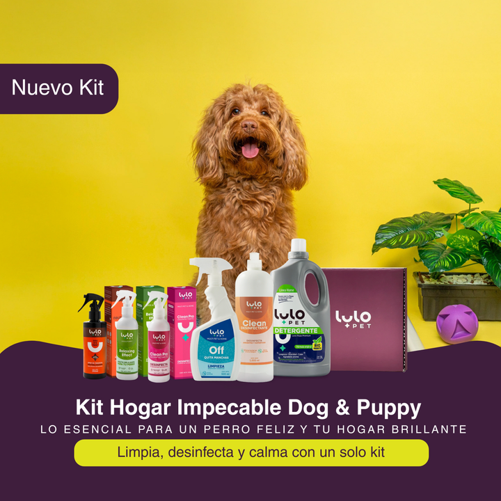 Kit Hogar Impecable Dog & Puppy