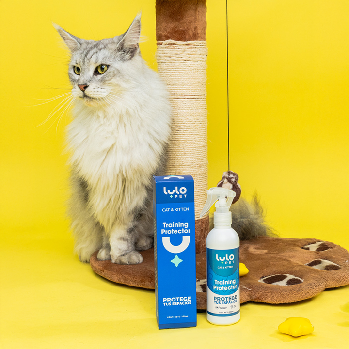 Training Protector Cat & Kitten