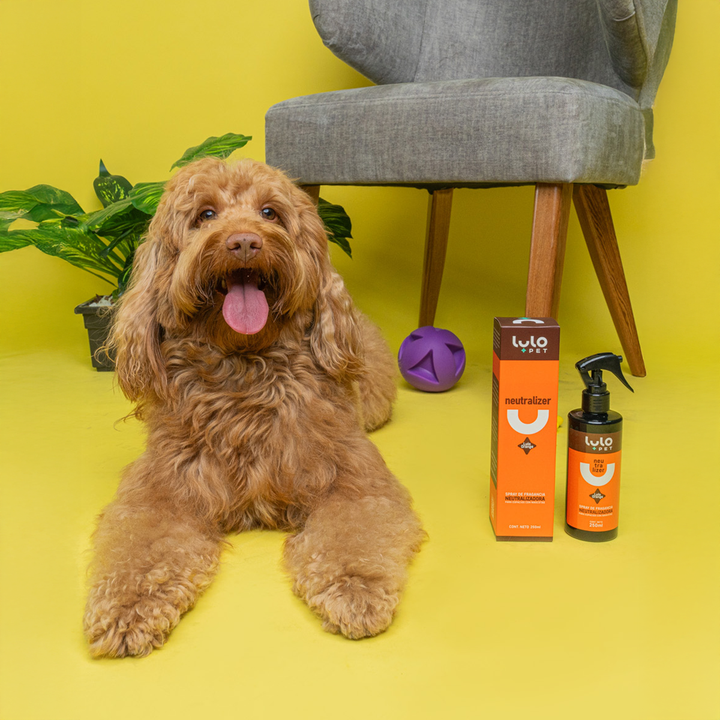 Neutralizer Orange