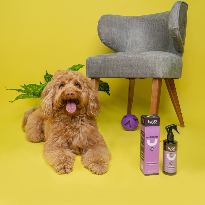 Neutralizer Purple