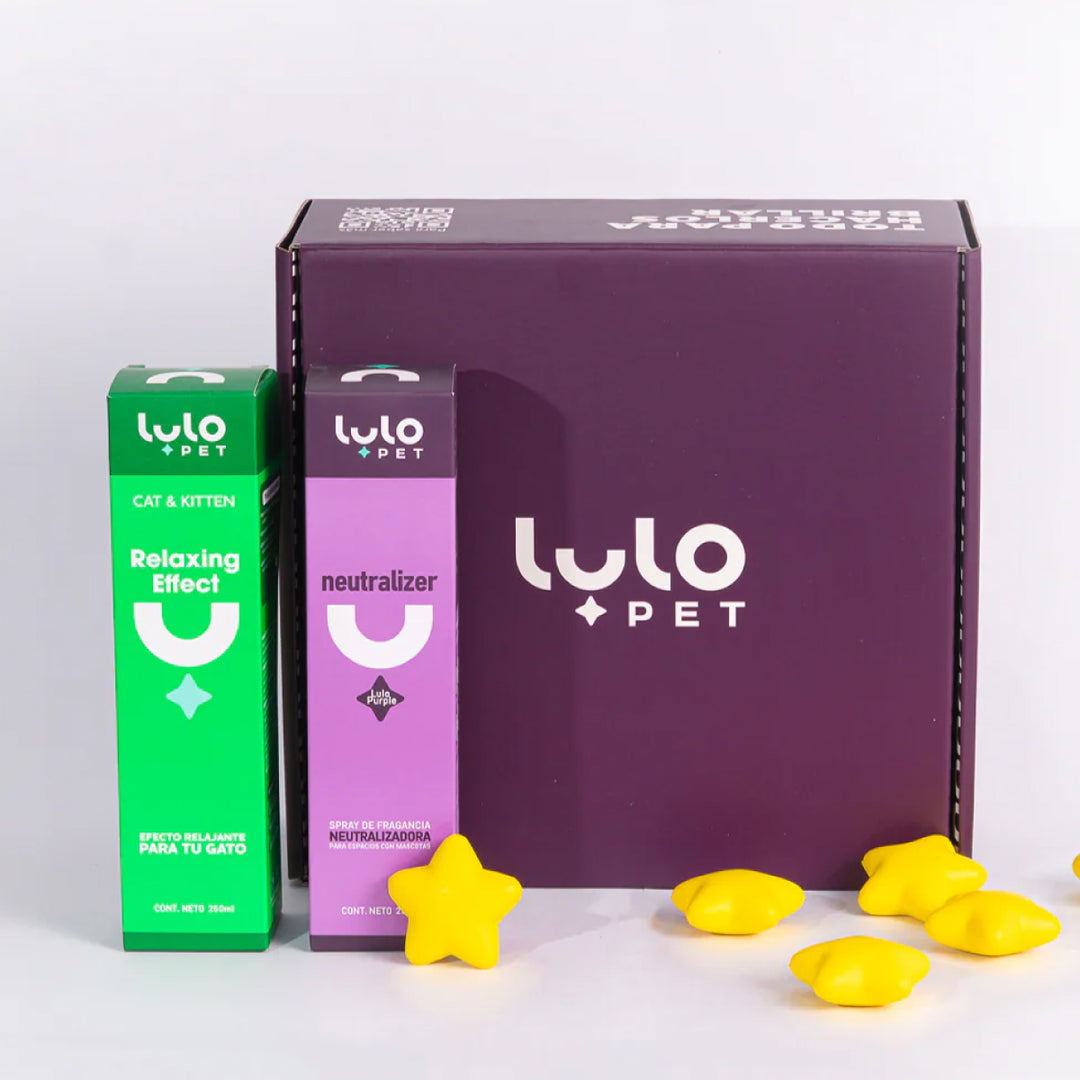 Dúo Momentos Felices Cat & Kitten