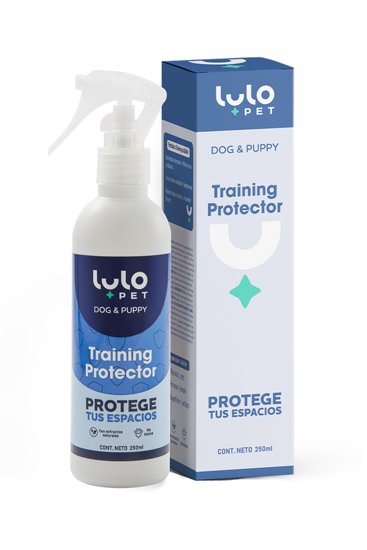 Training Protector Dog & Puppy