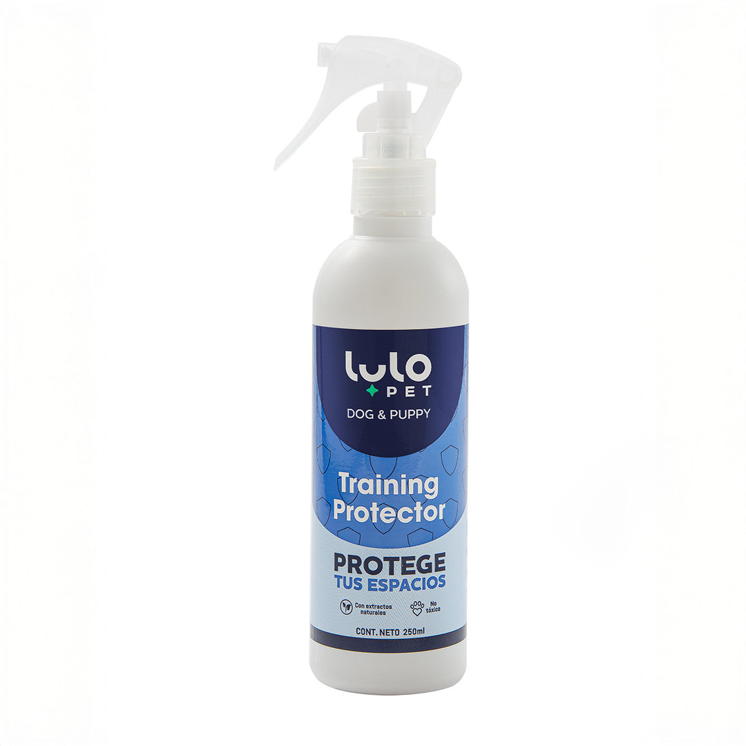 Training Protector Dog & Puppy