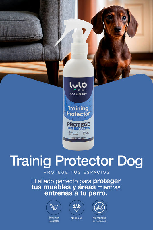 Training Protector Dog & Puppy