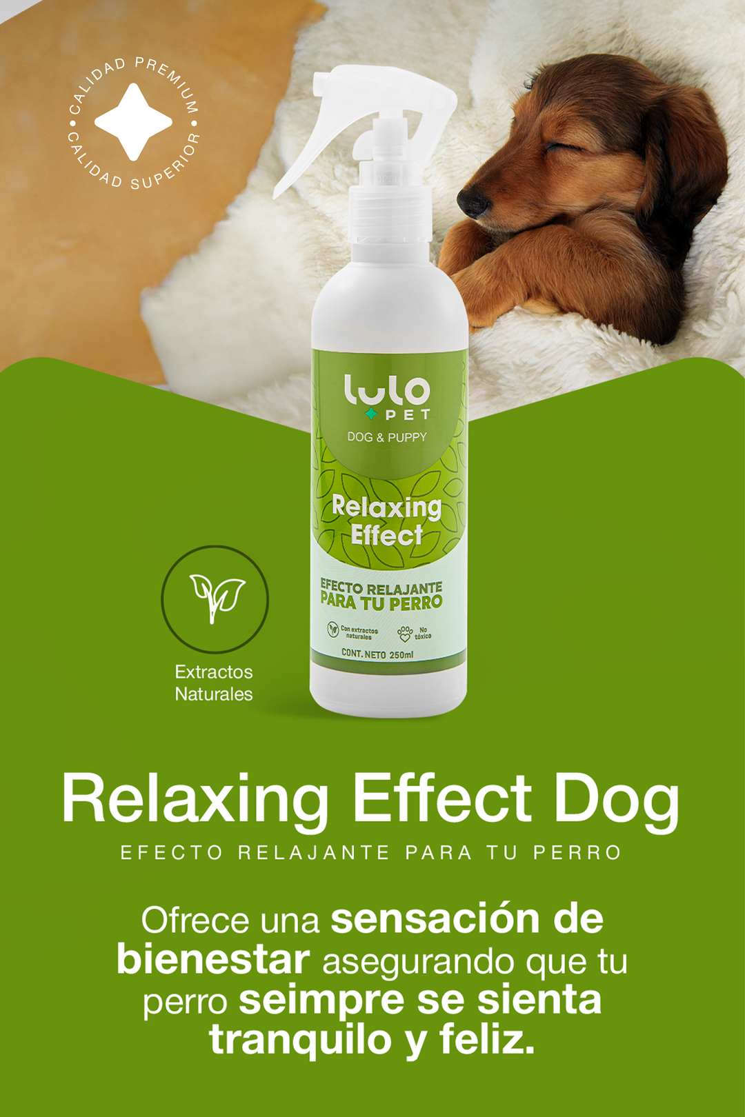 Relaxing Effect Dog & Puppy