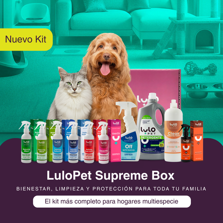 LuloPet Supreme Box