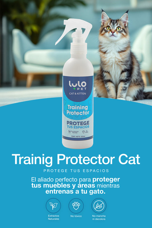 Training Protector Cat & Kitten