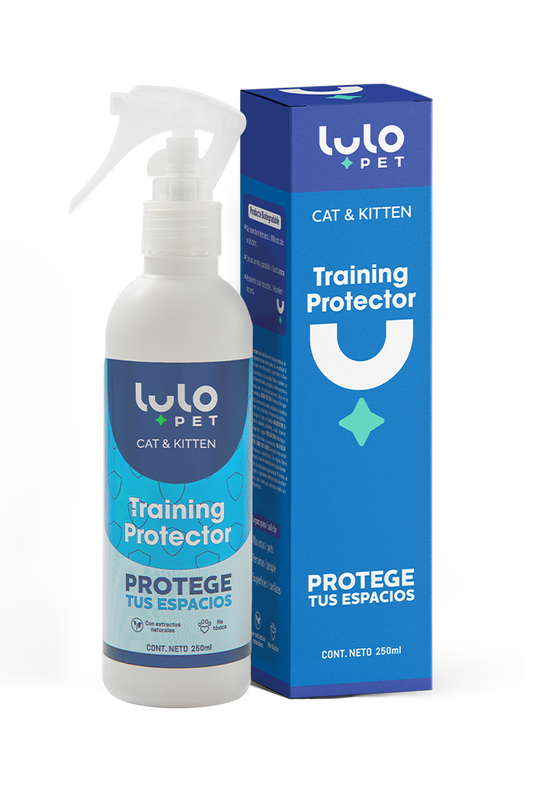 Training Protector Cat & Kitten