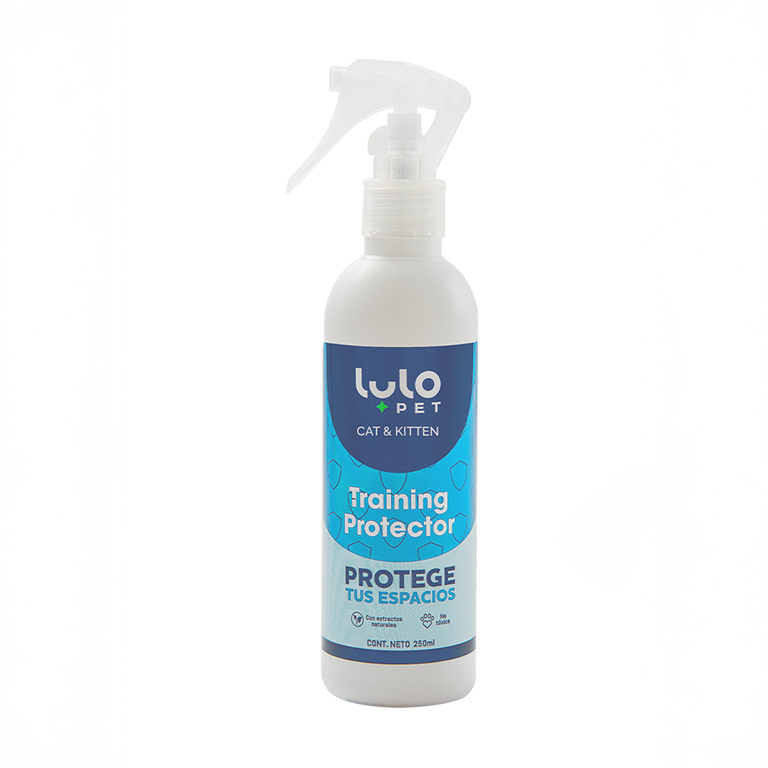 Training Protector Cat & Kitten