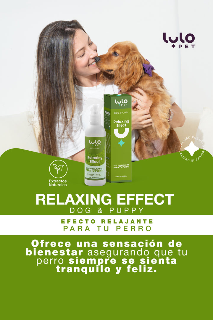 Relaxing Effect Dog & Puppy