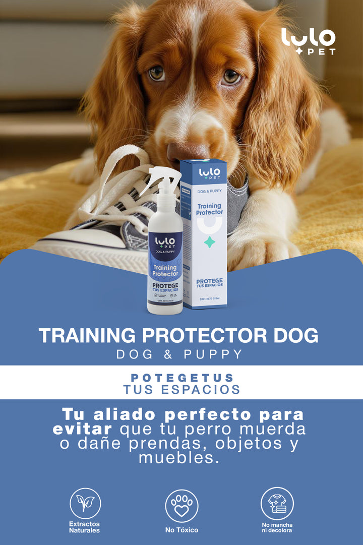 Training Protector Dog & Puppy