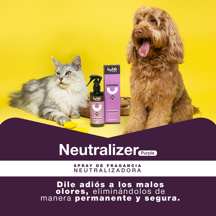 Neutralizer Purple