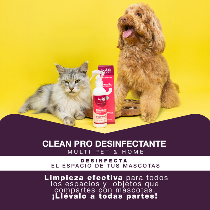 Clean Pro Desinfectante