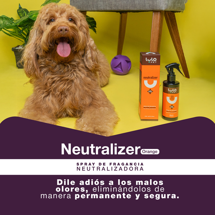 Neutralizer Orange