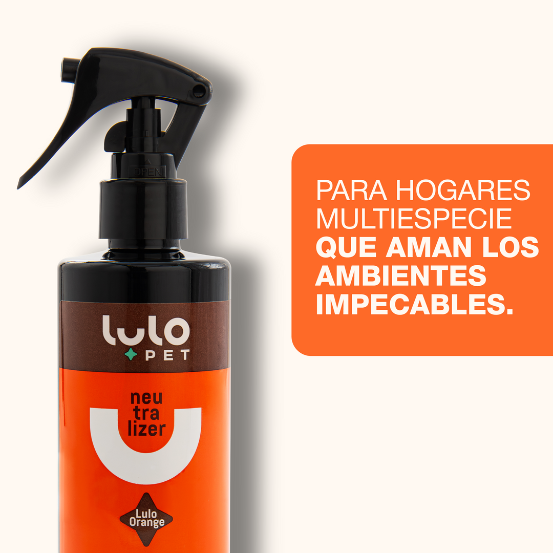 Neutralizer Orange