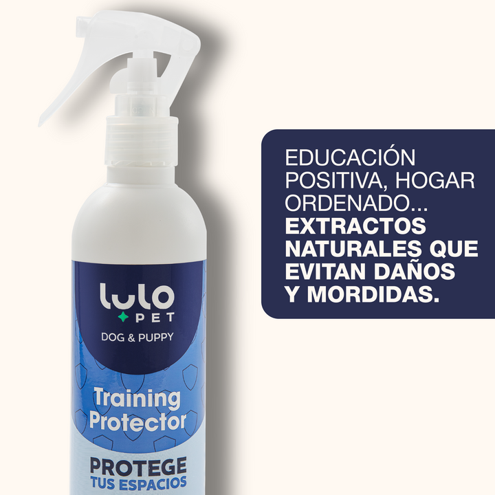 Training Protector Dog & Puppy