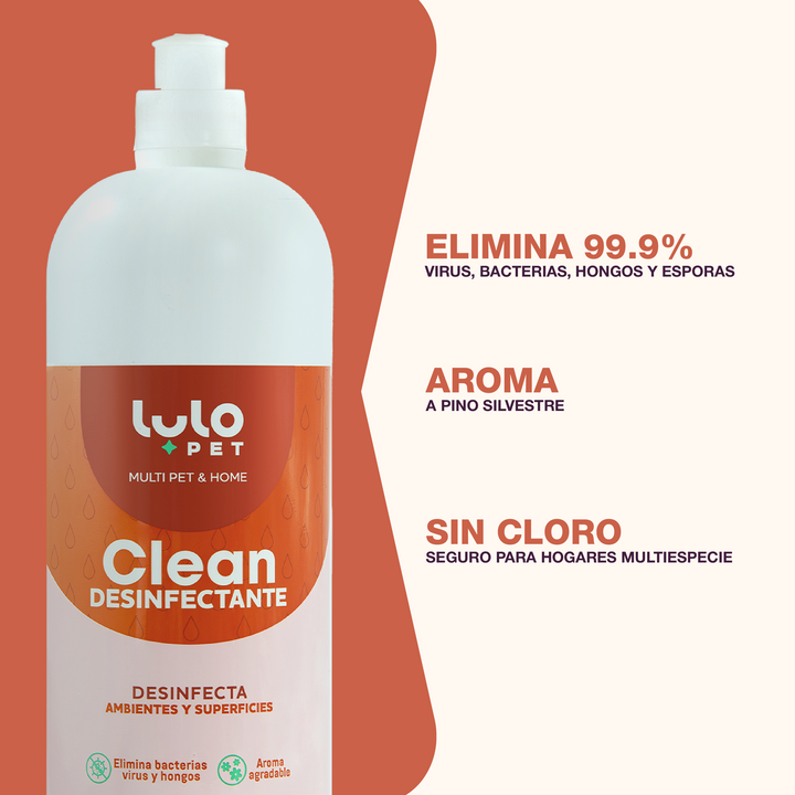 Kit Casa Impecable