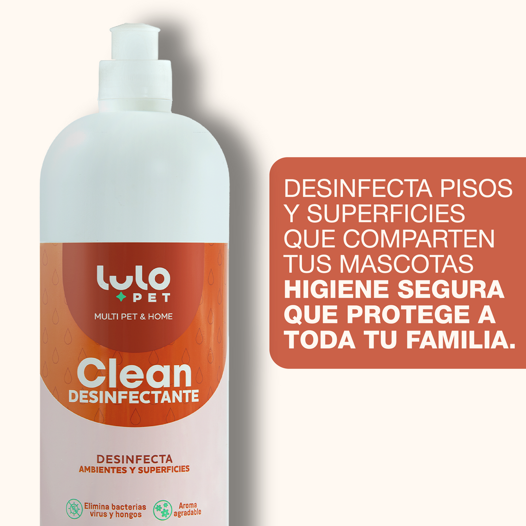 Kit Casa Impecable