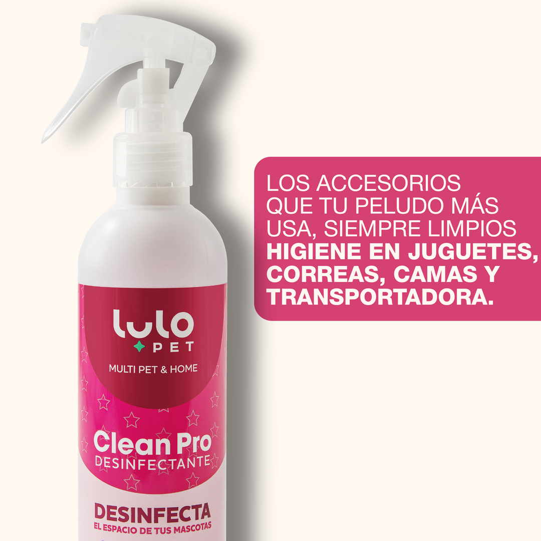 Clean Pro Desinfectante