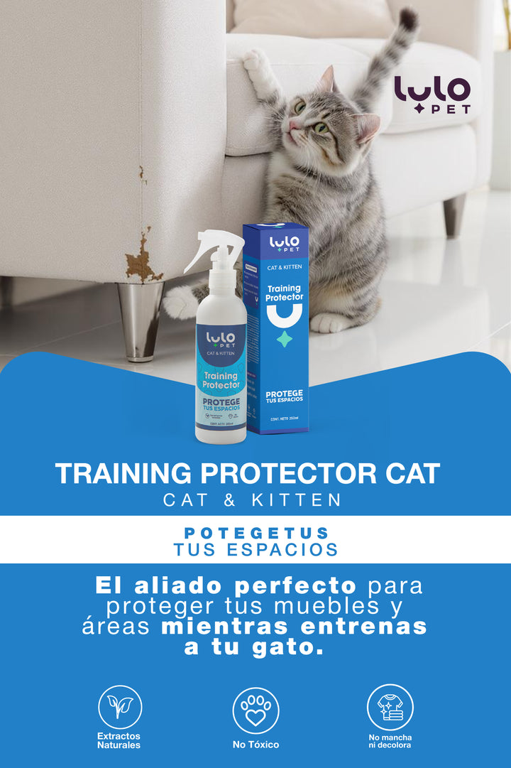 Training Protector Cat & Kitten